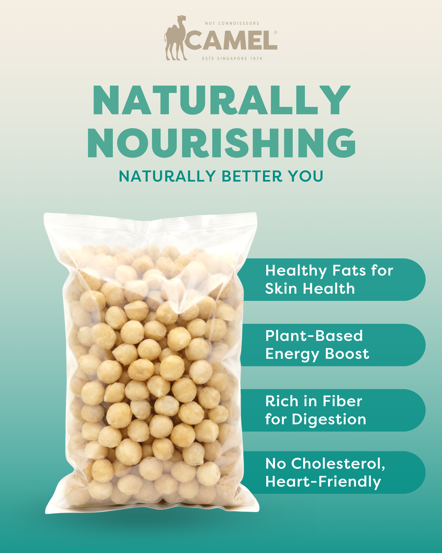 Natural Baked Macadamias 1kg