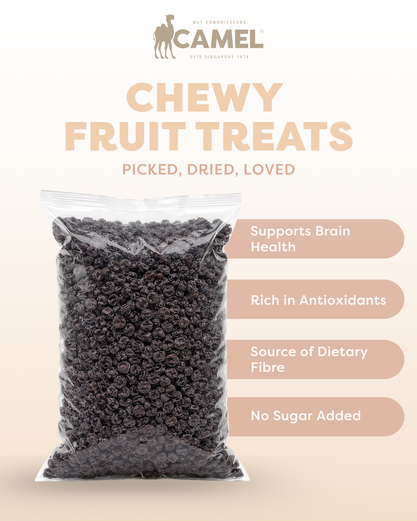 Natural Dried Blueberries 1kg