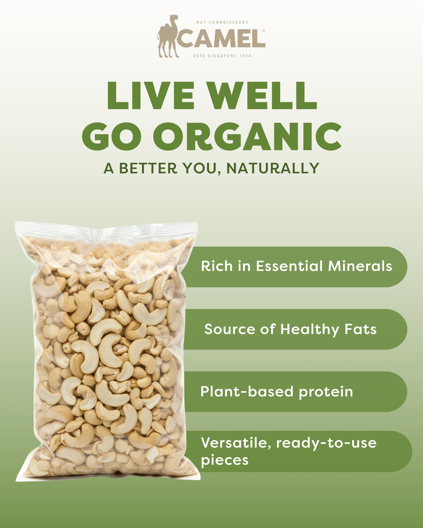 Organic Raw Cashews OWS Splits 1kg