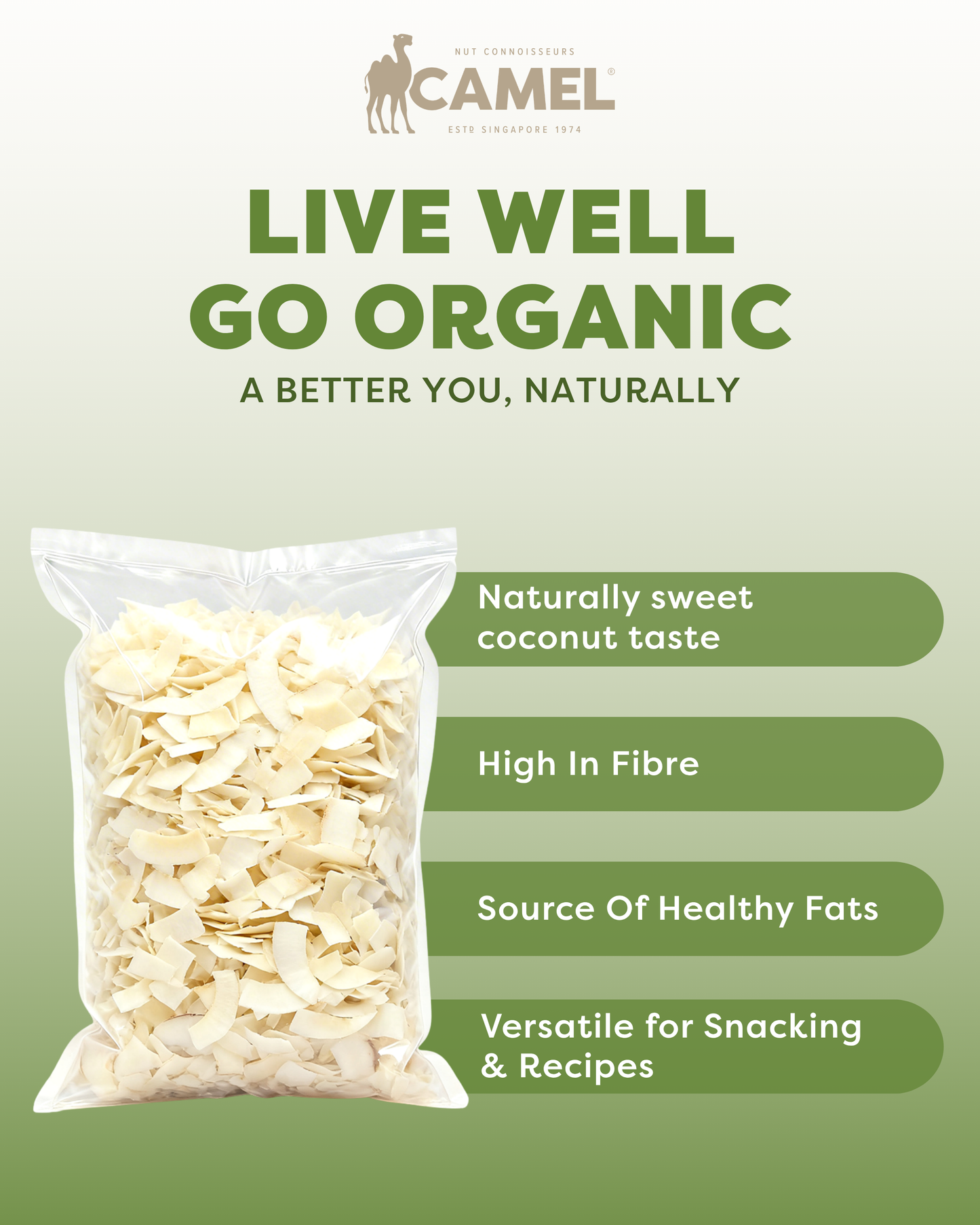 Organic Raw Coconut Chips 1kg