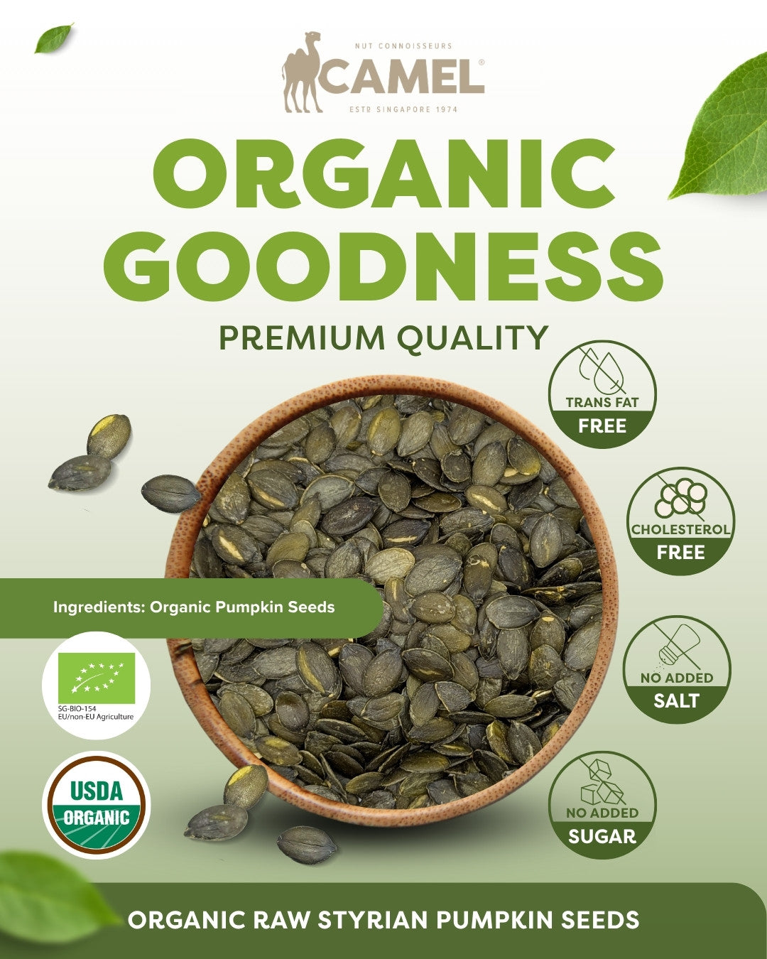 Organic Raw Styrian Pumpkin Seeds 1kg
