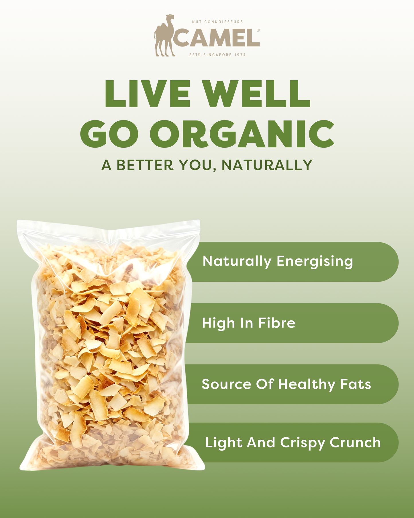 Organic Toasted Coconut Chips 1kg