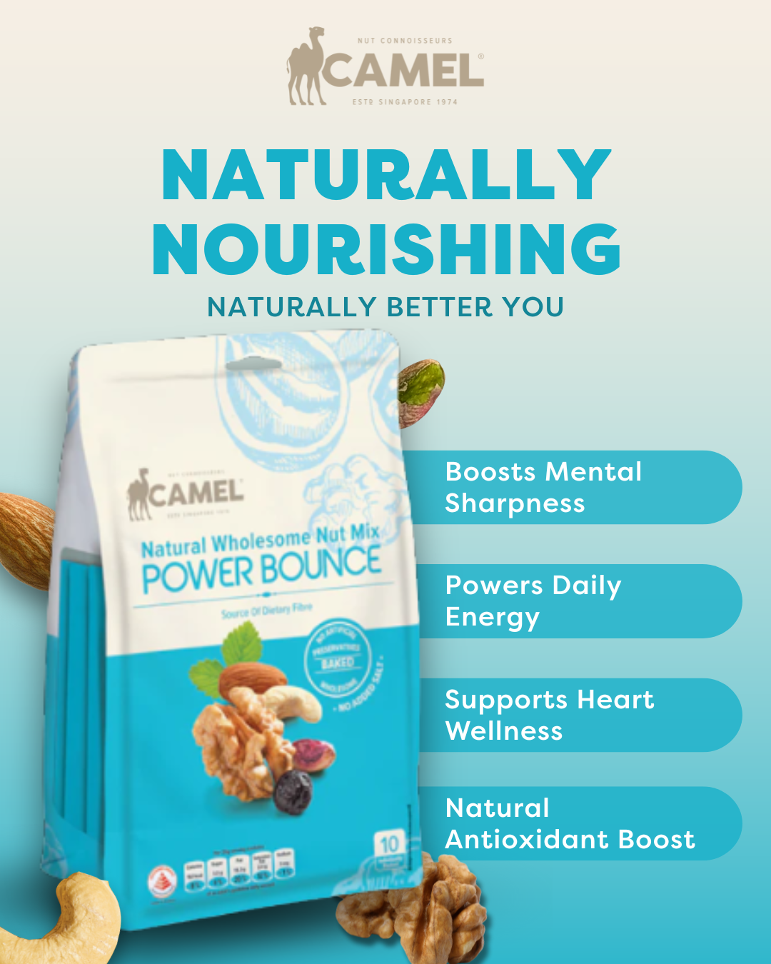 Power Bounce (1 Carton)